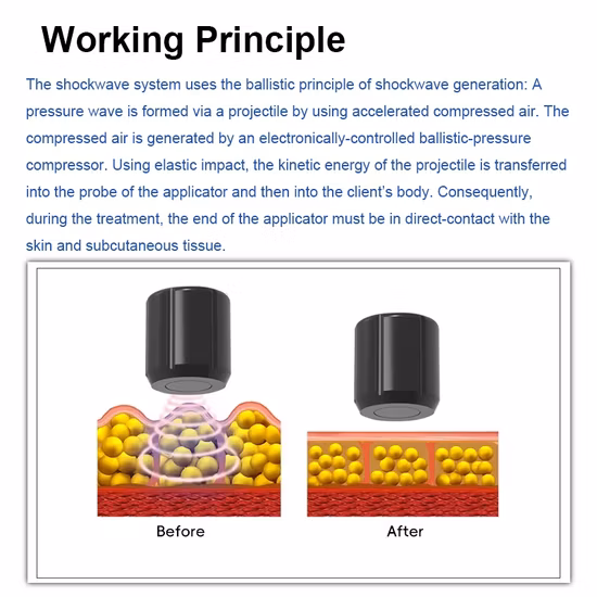 건강보조식품 남성 기타상품 발기부전치료제